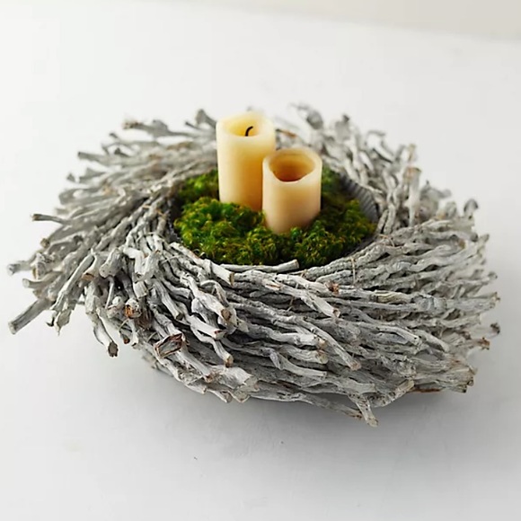 Anthropologie Other - Anthropologie Terrain Botay & Cocos Nucifera Rolled Branch Basket Candles Plants